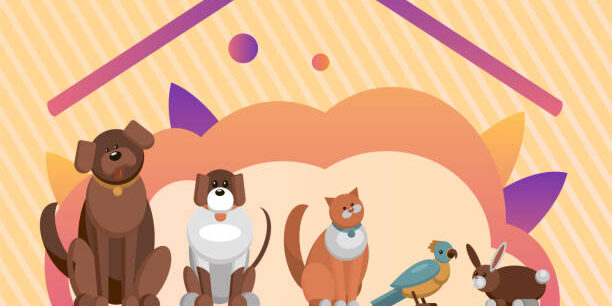 huisdieren huur accommodatie