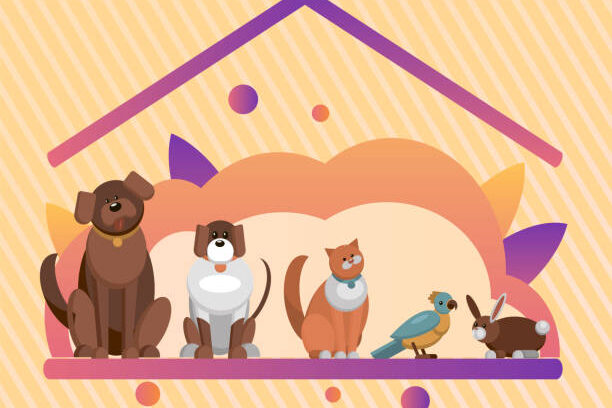 huisdieren huur accommodatie